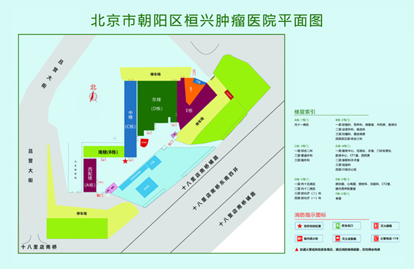 大骚逼搞大屌北京市朝阳区桓兴肿瘤医院平面图